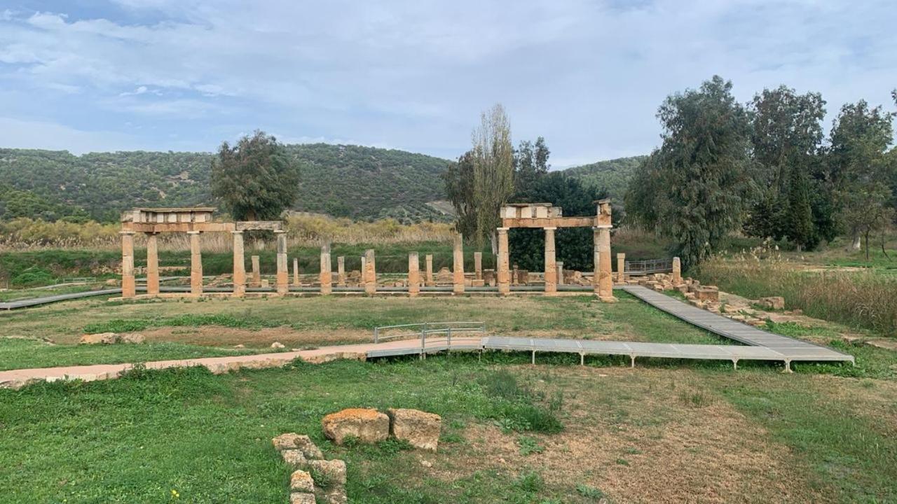 Urbi Garden